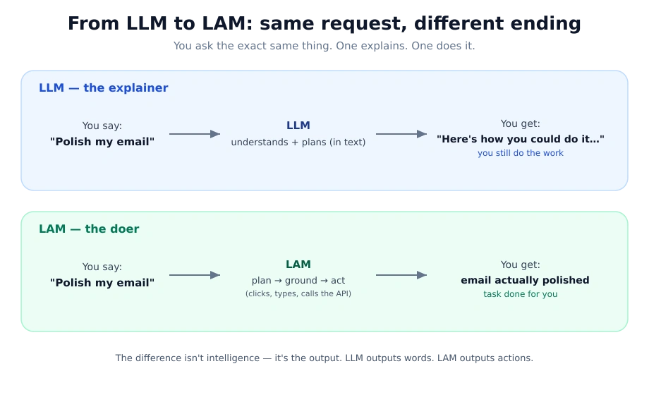 From LLM to LAM: Same application but different conclusion