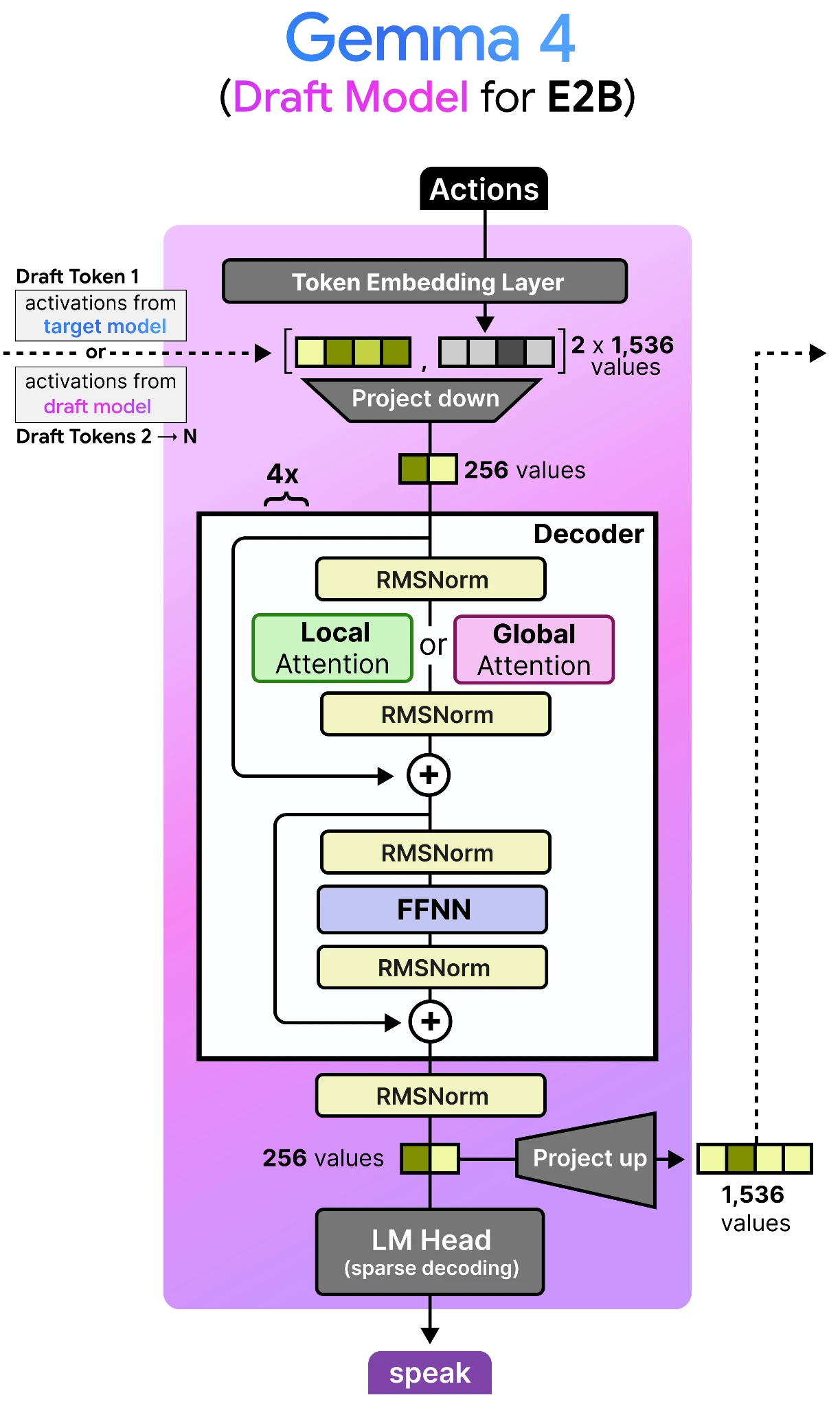 Gemma 4 12B Draft Model Architecture 