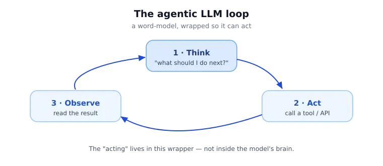 Th Agentic LLM Loop