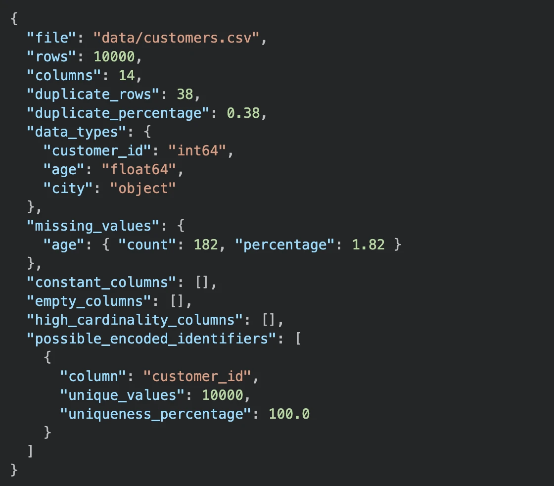 JSON output of data quality audit for customers.csv