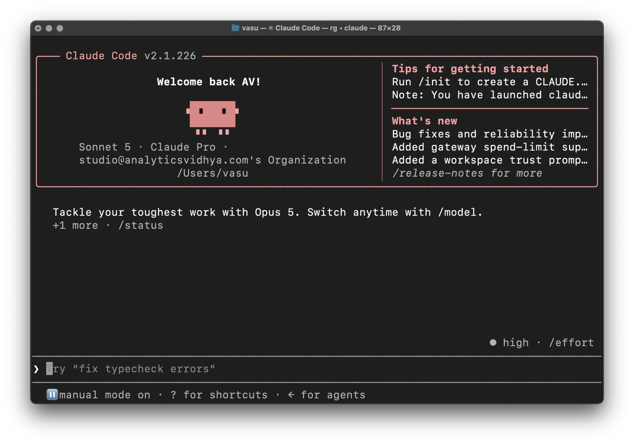 Claude Code welcome panel and input prompt