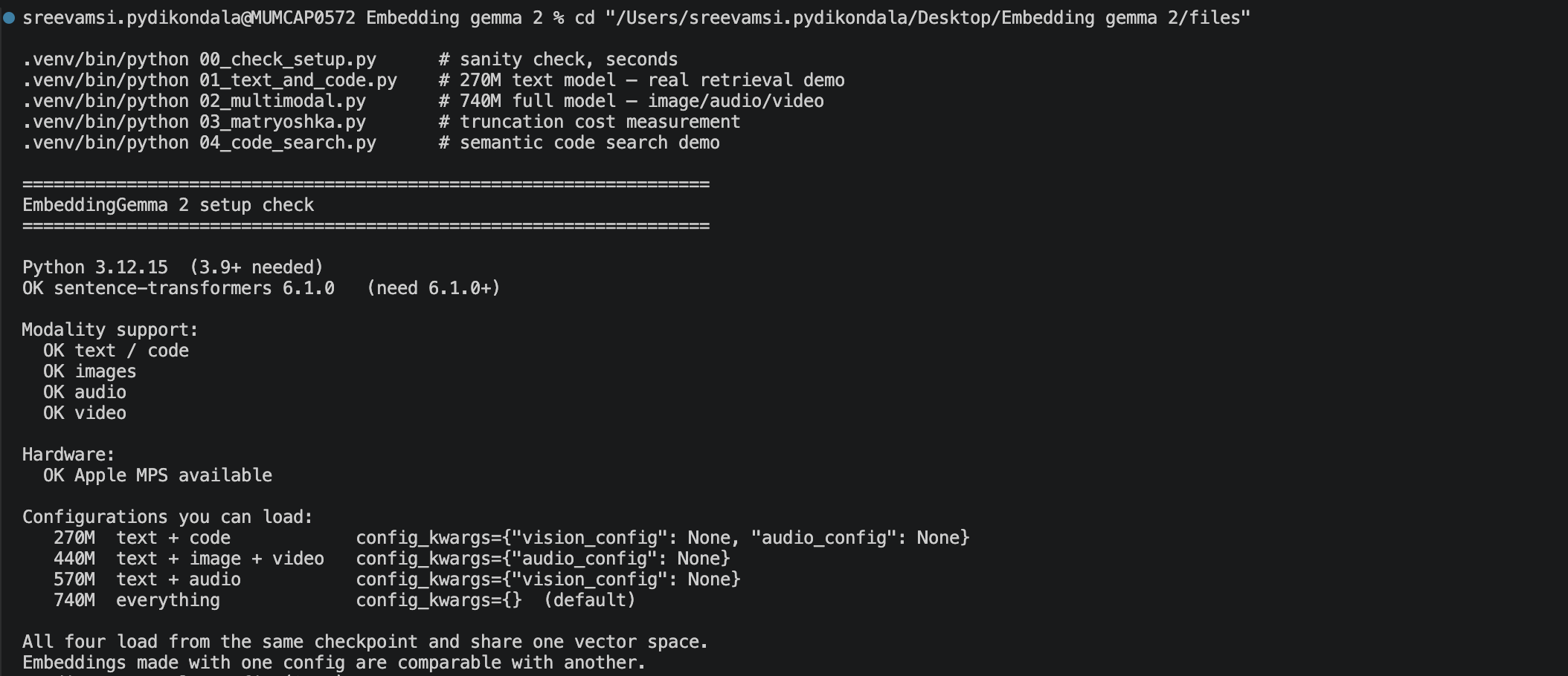 EmbeddingGemma 2 Output